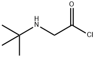 2-TERT-BUTYLAMINO ACETYL CHLORIDE Struktur