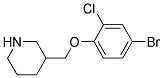 3-(4-Bromo-2-chloro-phenoxymethyl)-piperidine Struktur