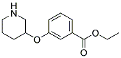 3-(Piperidin-3-yloxy)-benzoic acid ethyl ester Struktur