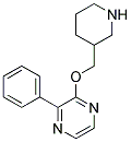 2-phenyl-3-(piperidin-3-ylmethoxy)pyrazine Struktur