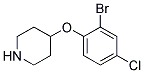 4-(2-Bromo-4-chloro-phenoxy)-piperidine Struktur