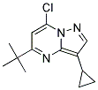 5-tert-butyl-7-chloro-3-cyclopropylpyrazolo[1,5-a]pyrimidine Struktur