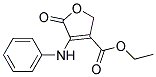 ETHYL4-ANILINO-5-OXO-2,5-DIHYDRO-3-FURANCARBOXYLATE Struktur