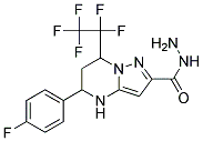 5-(4-Fluoro-phenyl)-7-pentafluoroethyl-4,5,6,7-tetrahydro-pyrazolo[1,5-a]pyrimidine-2-carboxylicacidhydrazide Struktur