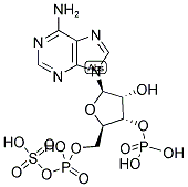 3'-PHOSPHOADENOSINE-5'-PHOSPHOSULFATE, [35S] Struktur