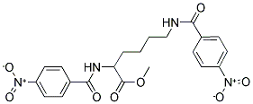 AURORA 85 Struktur