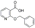 2-BENZYLOXY-NICOTINIC ACID