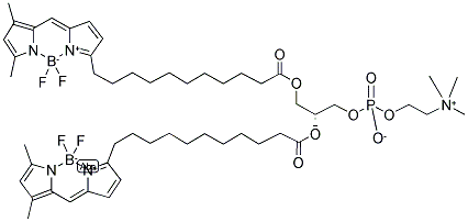 1,2-BIS-(4,4-DIFLUORO-5,7-DIMETHYL-4-BORA-3A,4A-DIAZA-S-INDACENE-3-UNDECANOYL)-SN-GLYCERO-3-PHOSPHOCHOLINE Struktur