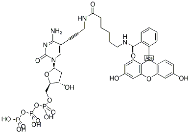 FLUORESCEIN-12-DCTP Struktur