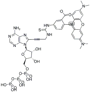 TETRAMETHYLRHODAMINE-6-ATP Struktur