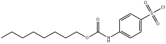 (4-CHLOROSULFONYL-PHENYL)-CARBAMIC ACID OCTYL ESTER Struktur