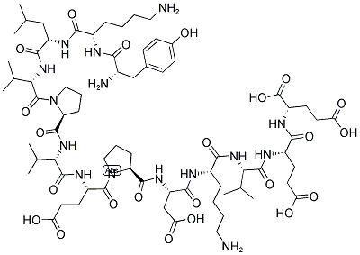 NEF (143-155) Struktur