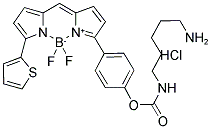 5-(((4-(4,4-DIFLUORO-5-(2-THIENYL)-4-BORA-3A,4A-DIAZA-S-INDACENE-3-YL)PHENOXY)-ACETYL)AMINO)PENTYLAMINE, HYDROCHLORIDE Struktur