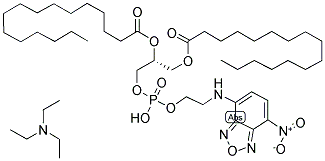 N-(7-NITROBENZ-2-OXA-1,3-DIAZOL-4-YL)-1,2-DIHEXADECANOYL-SN-GLYCERO-3-PHOSPHOETHANOLAMINE, TRIETHYLAMMONIUM SALT Struktur