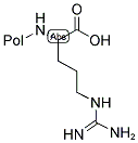 L-ARGININE RESIN Struktur