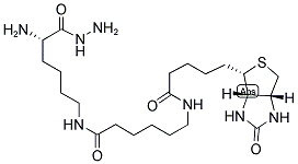 BIOCYTIN-X HYDRAZIDE Struktur