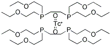 P53 Struktur