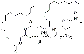 1,2-DIPALMITOYL-SN-GLYCERO-3-PHOSPHOETHANOLAMINE-N-(2,4-DINITROPHENYL) Struktur