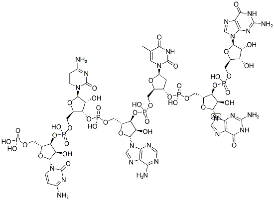 CCATGG, 5'-PHOSPHORYLATED Struktur