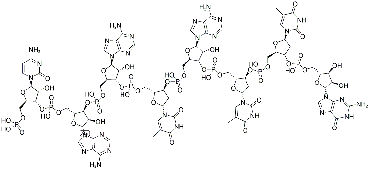 CAATATTG, 5'-PHOSPHORYLATED Struktur