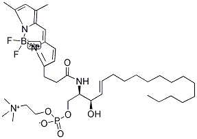 BODIPY(R) FL C5-SPHINGOMYELIN Struktur