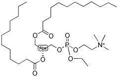 1,2-DILAUROYL-SN-GLYCERO-3-ETHYLPHOSPHOCHOLINE Struktur