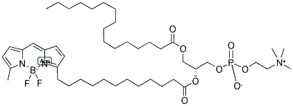 2-(4,4-DIFLUORO-5-METHYL-4-BORA-3A,4A-DIAZA-S-INDACENE-3-DODECANOYL)-1-HEXADECANOYL-SN-GLYCERO-3-PHOSPHOCHOLINE Struktur