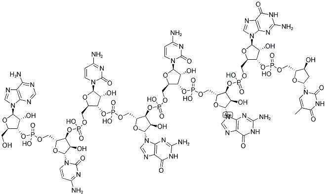 ACCGCGGT, 5'-NON-PHOSPHORYLATED Struktur