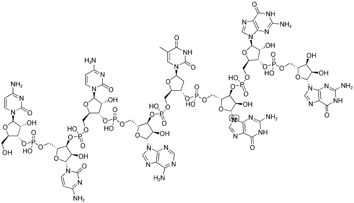 CCCATGGG, 5'-NON-PHOSPHORYLATED Struktur