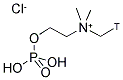 PHOSPHORYLCHOLINE, [METHYL-3H] Struktur