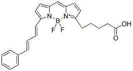 4,4-DIFLUORO-5-(4-PHENYL-1,3-BUTADIENYL)-4-BORA-3A,4A-DIAZA-S-INDACENE-3-PENTANOIC ACID Struktur