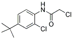 N1-[4-(TERT-BUTYL)-2-CHLOROPHENYL]-2-CHLOROACETAMIDE Struktur