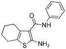 2-AMINO-4,5,6,7-TETRAHYDRO-BENZO[B]THIOPHENE-3-CARBOXYLIC ACID PHENYLAMIDE Struktur