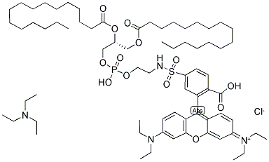 N-(LISSAMINE(TM) RHODAMINE B SULFONYL)-1,2-DIHEXADECANOYL-SN-GLYCERO-3-PHOSPHOETHANOLAMINE, TRIETHYLAMMONIUM SALT Struktur