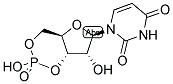 URIDINE 3':5'-CYCLIC MONOPHOSPHATE Struktur