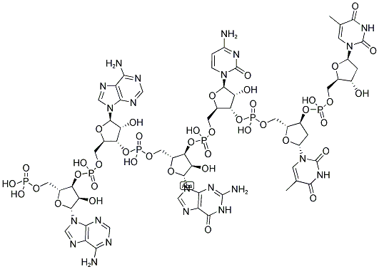 AAGCTT, 5'-PHOSPHORYLATED Struktur