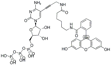 FLUORESCEIN-12-CTP Struktur