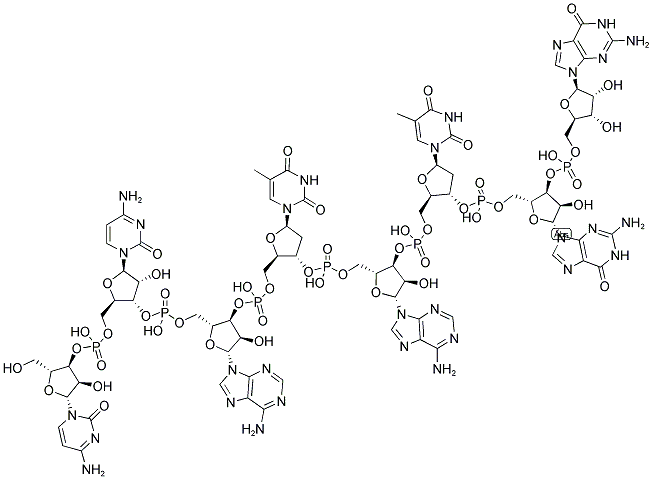 CCATATGG, 5'-NON-PHOSPHORYLATED Struktur