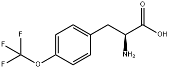 2-AMINO-3-(4-TRIFLUOROMETHOXY-PHENYL)-PROPIONIC ACID Struktur