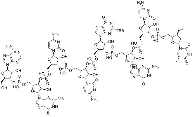 AGCCGGCT, 5'-NON-PHOSPHORYLATED Struktur