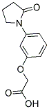 [3-(2-OXOPYRROLIDIN-1-YL)PHENOXY]ACETIC ACID Struktur