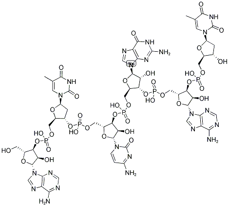 ATCGAT, 5'-NON-PHOSPHORYLATED