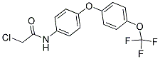 N1-(4-[4-(TRIFLUOROMETHOXY)PHENOXY]PHENYL)-2-CHLOROACETAMIDE Struktur