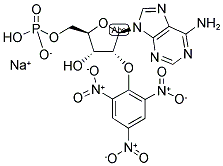 2'-(OR-3')-O-(TRINITROPHENYL)ADENOSINE 5'-MONOPHOSPHATE, SODIUM SALT Struktur