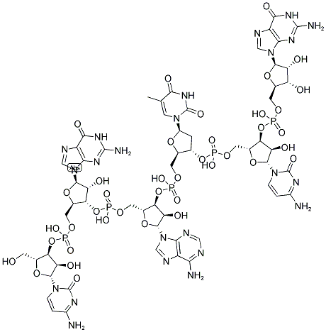 CGATCG, 5'-NON-PHOSPHORYLATED Struktur