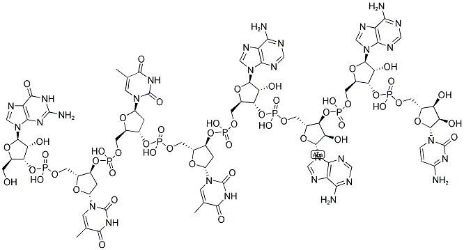 GTTTAAAC, 5'-NON-PHOSPHORYLATED Struktur