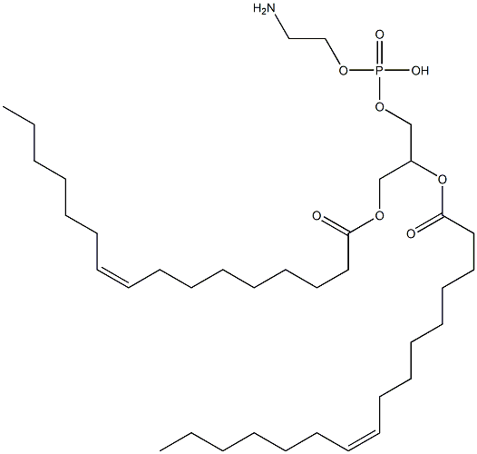 1,2-DIPALMITOLEOYL-SN-GLYCERO-3-PHOSPHOETHANOLAMINE Struktur