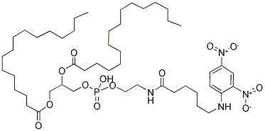 1,2-DIPALMITOYL-SN-GLYCERO-3-PHOSPHOETHANOLAMINE-N-[6-[(2,4-DINITROPHENYL)AMINO]CAPROYL] Struktur