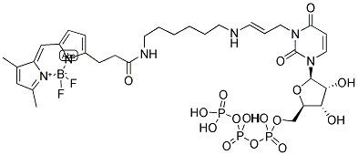 BODIPY(R) FL-14-UTP Struktur