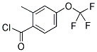 2-METHYL-4-(TRIFLUOROMETHOXY)BENZOYL CHLORIDE Struktur